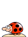 Käfer